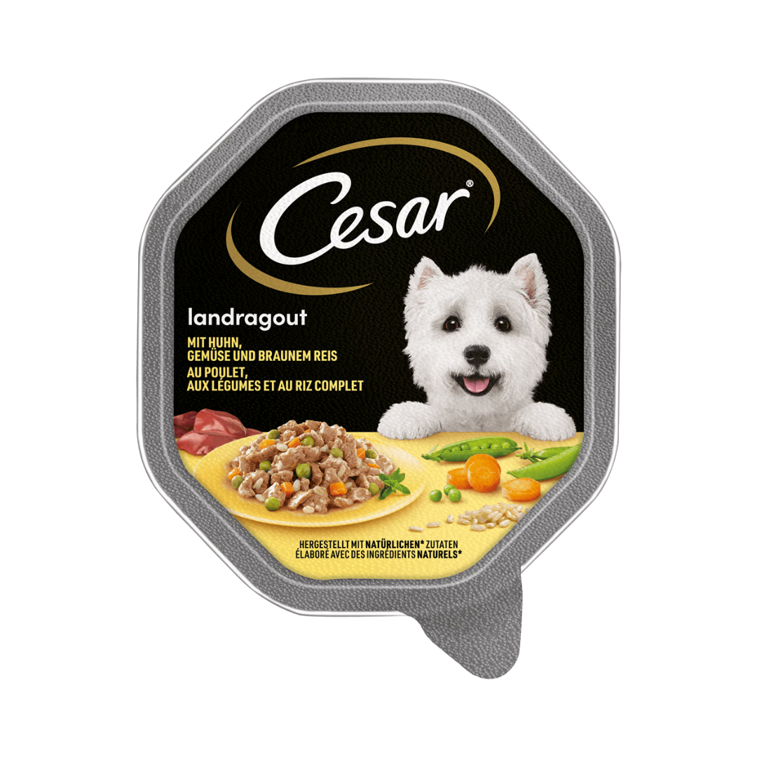 CESAR Dog food Landragout au poulet, aux légumes et au riz complet
