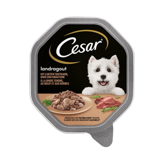 CESAR Dog food Landragout à la dinde tendre, au boeuf et aux herbes